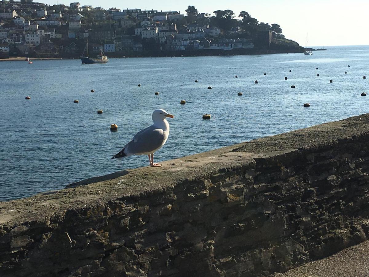 Bay View, Millendreth Looe Cornwallヴィラ エクステリア 写真