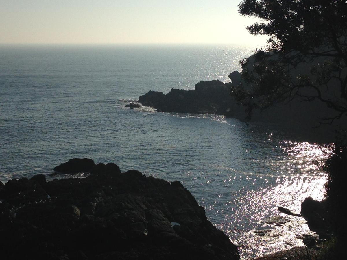 Bay View, Millendreth Looe Cornwallヴィラ エクステリア 写真